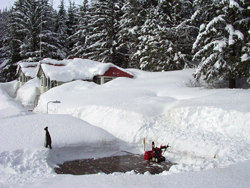 Image of Annex Creek snow